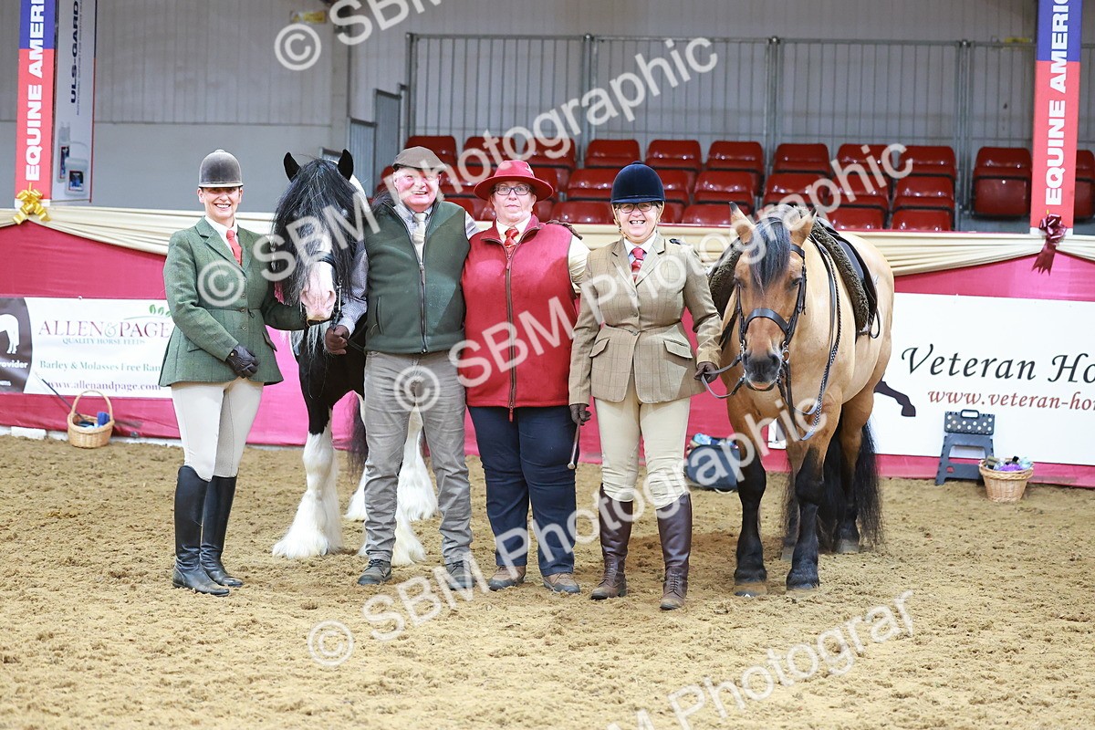 SBM_09544 - Class 102 - HOYS Veteran Qualifier - Ridden Veteran