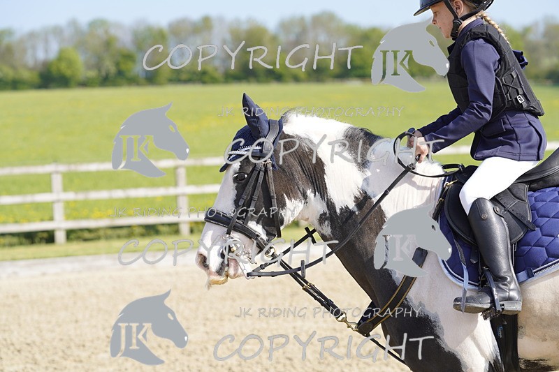 _DSC6489 - USJL Oakingham Stud 27.04.25