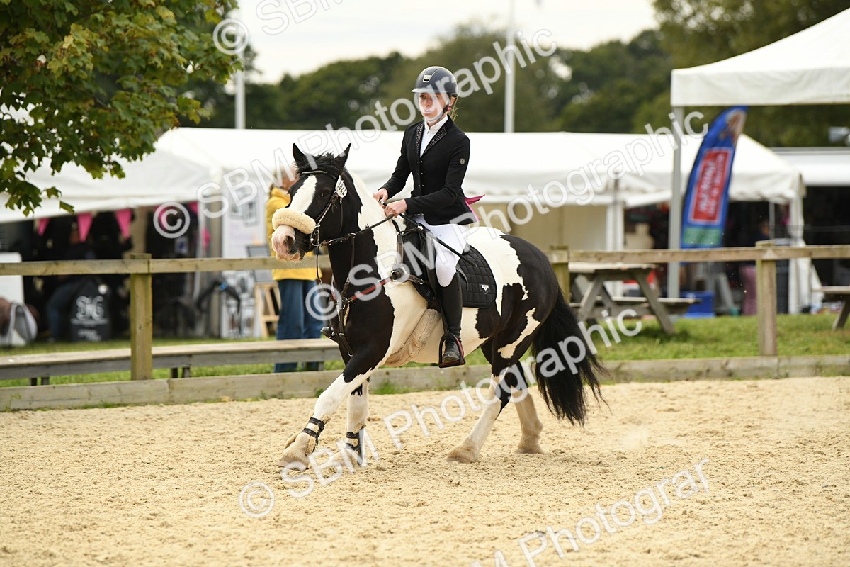 SBM_75688 - Supreme Championship