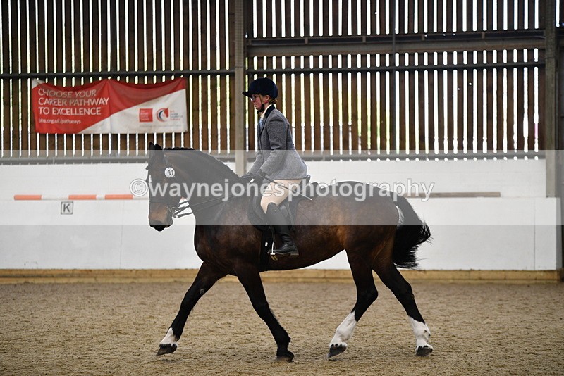 WJ5_7776 - Class 13 Ridden Part Breed