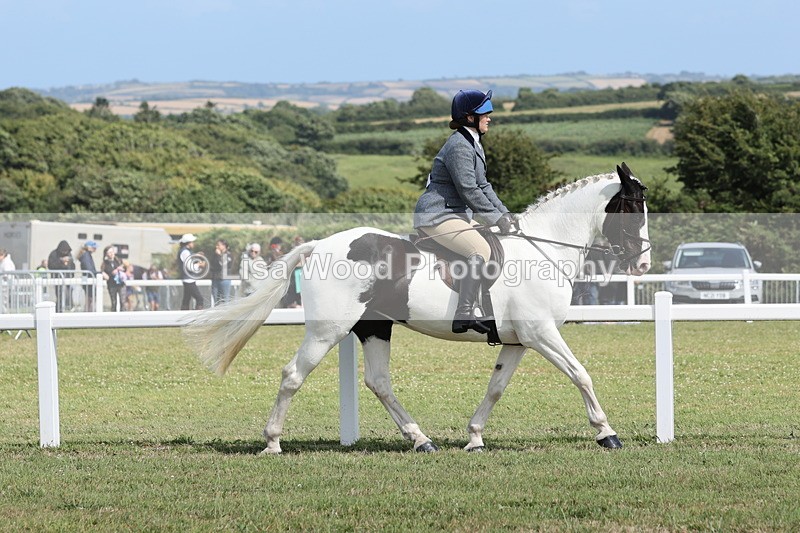 JPP_2267 - Class 19: Working Hunter 60cm