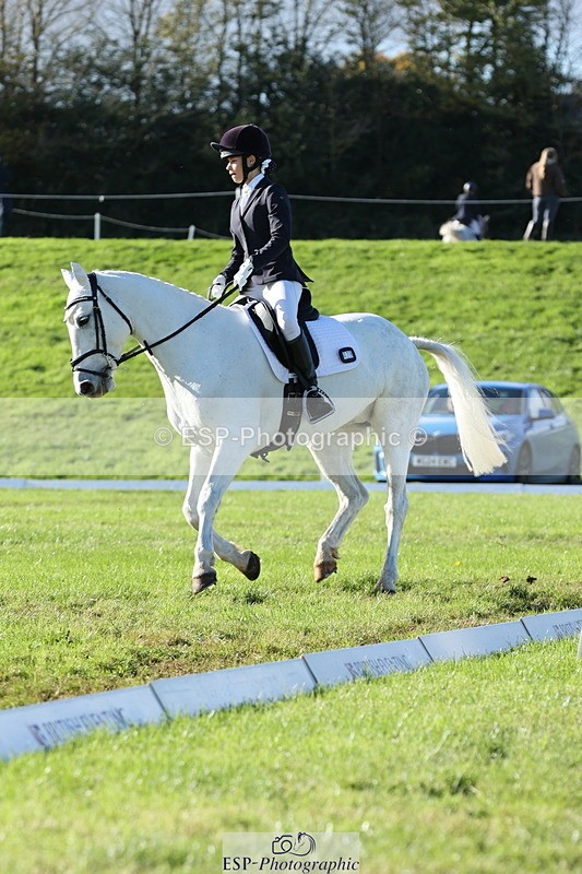 251024A-144134-14096 - F-479-Poppy.Wellman