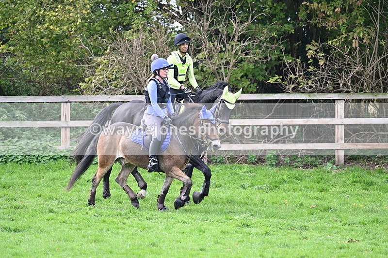 WJ7_8480 - Time 12:12 to 12:37