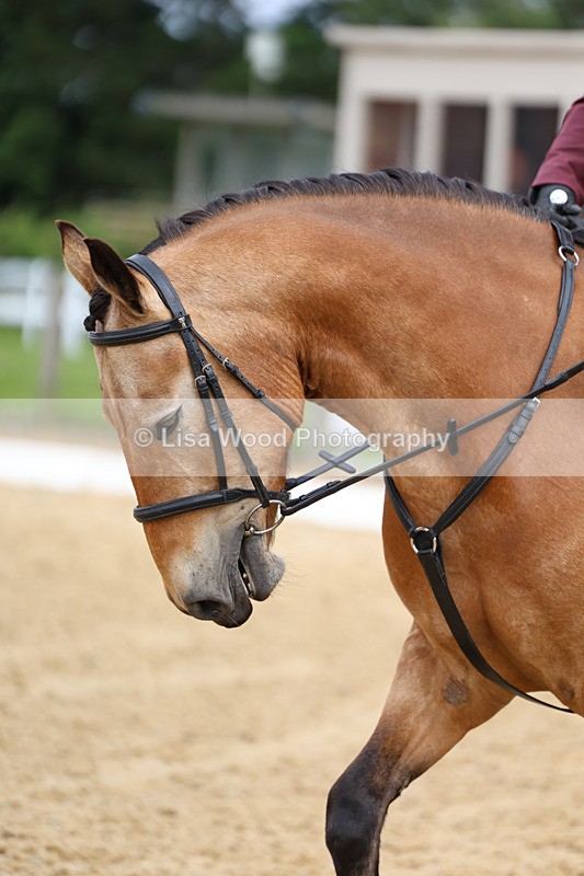 3E7A9148 - Class 2: Intro 1 2024 Section B