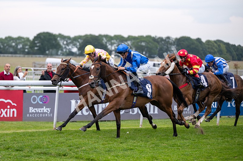 160626-Race 6-Regal Glory-5701 - Race 6 21.00pm Napoleons Casino And Restaurant Hull Handicap