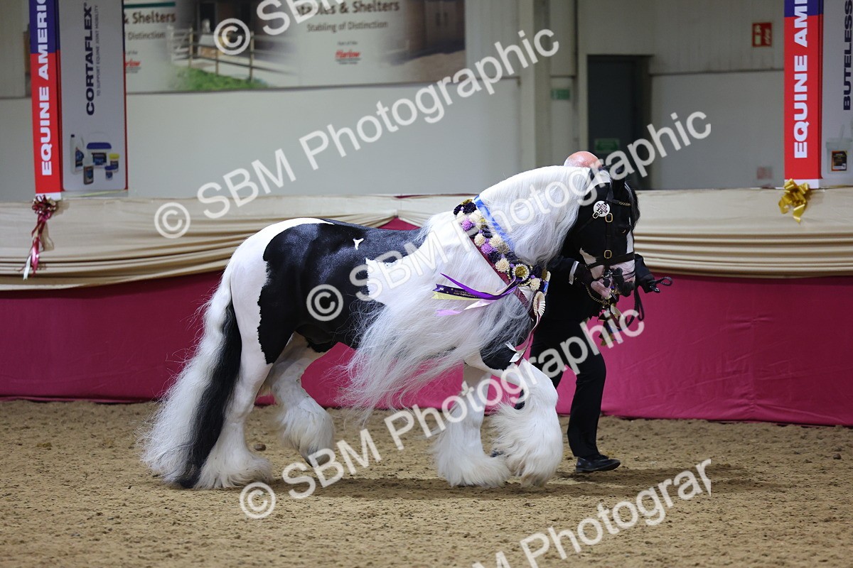 SBM_18661 - Class C Best Turned Out Champ