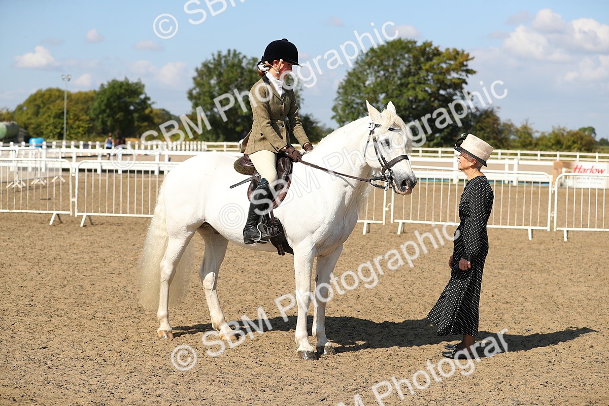 SBM_03167 - Class 44 Riding Club Horse/ Pony