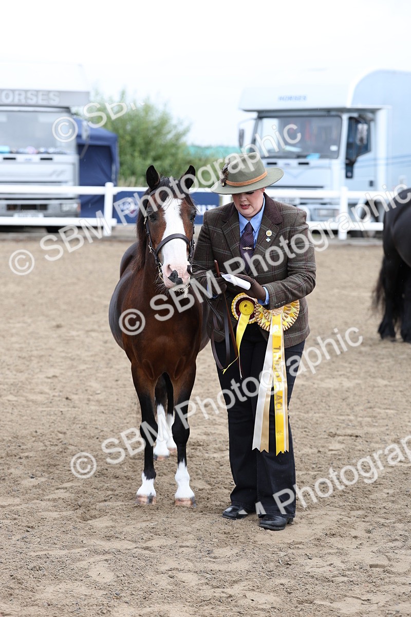 SBM_00106 - Class 50 - Best Turned Out IH