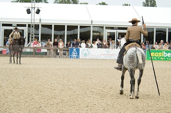  - Windsor Horse Show