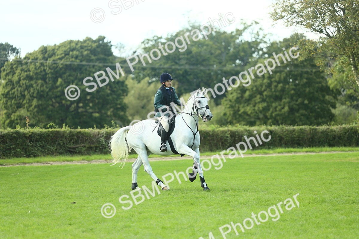 SBM_50599 - S33 - Working Hunter & Working Show Horse