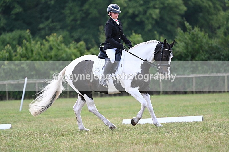 WJ7_5258 - Time 11:22 to 11:51