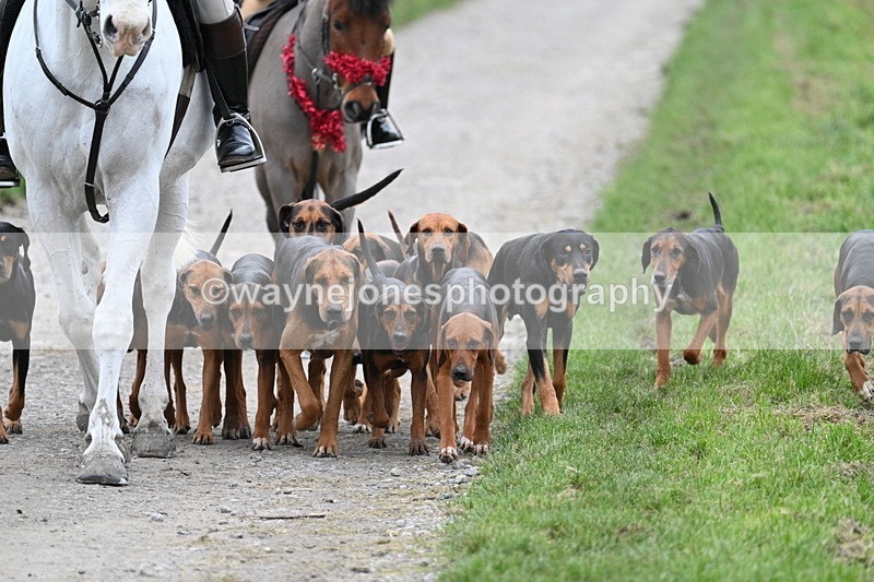 WJ7_1202 - Walk Home