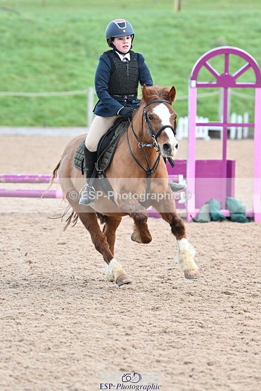 240127A-100915-00390 - SJ 50cm