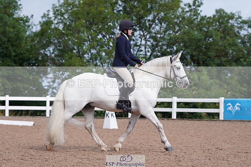 240809A-093446-00288 - Dressage Competition