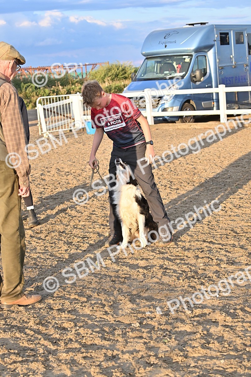 SBM_09652 - Lorry Dogs