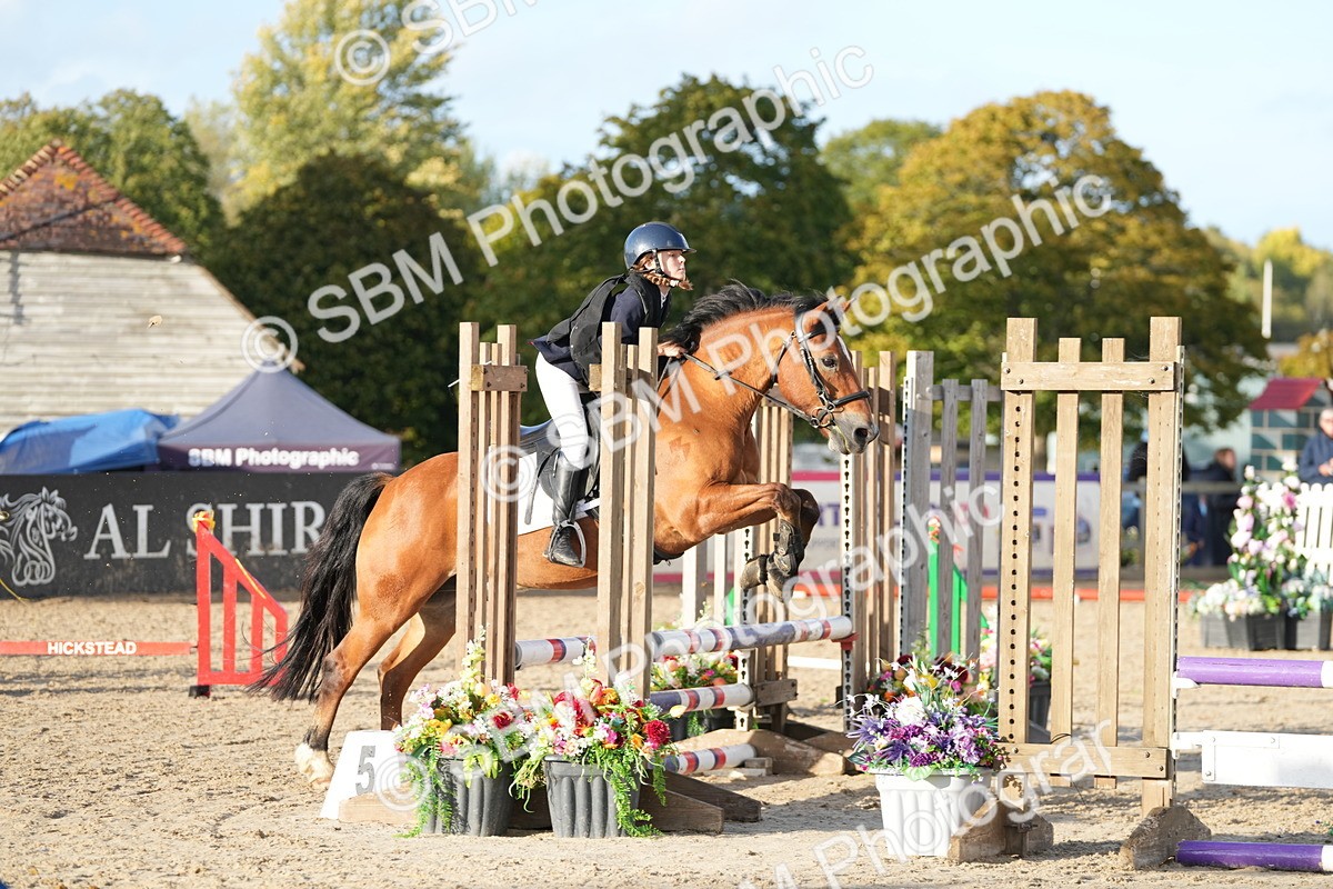 SBM_29364 - J44 - Horse & Hound Open 70cm