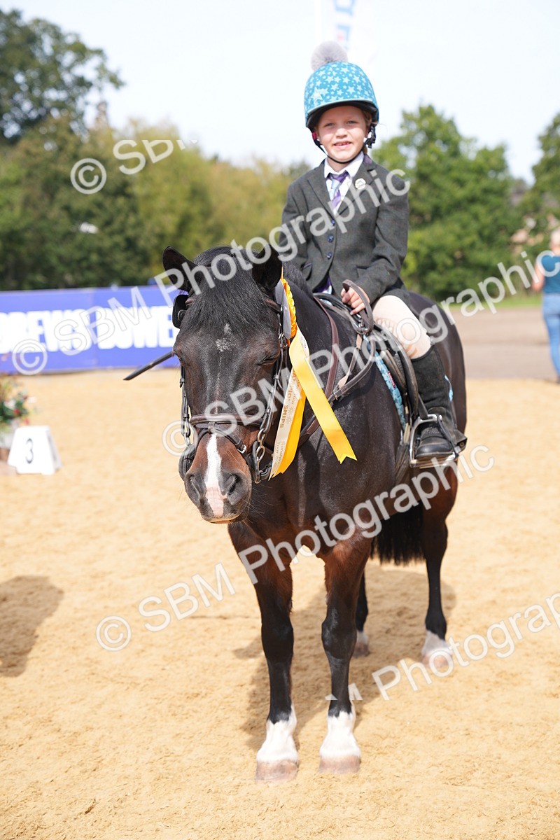 SBM_65864 - J2 - Mini Tour Junior Pony 30cm Championship
