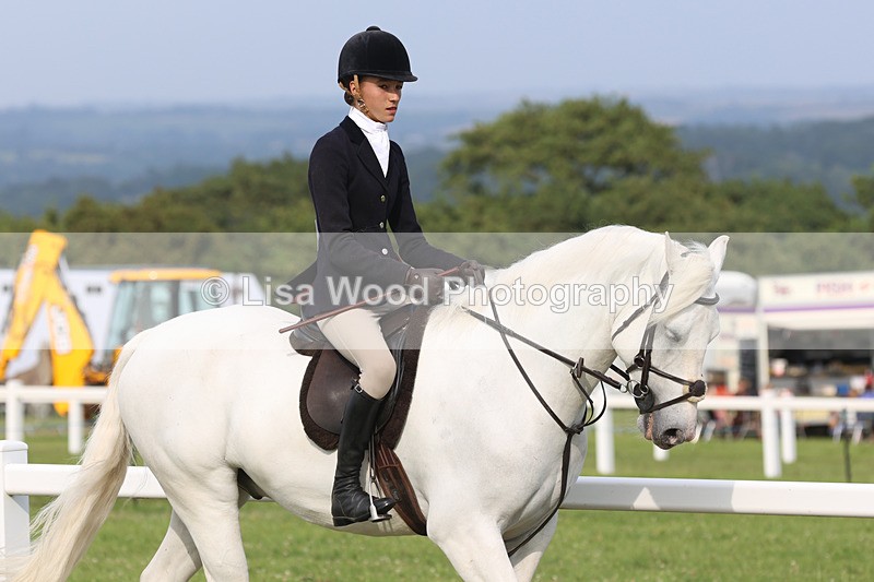 JPP_4592 - Working Hunter Championship