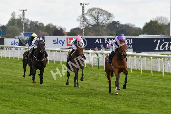 yr12052021r4-24 - Race 4 3.10pm Tattersalls Musidora Stakes