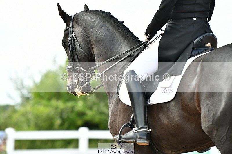 230702A-160031-11075 - Cls 37 + 42 FEI PSG + GP