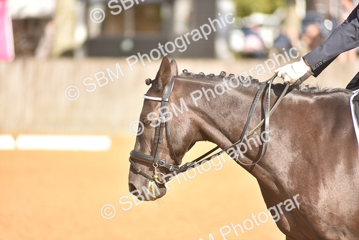 SBM_48889 - D22 - Junior Championship Intro 3