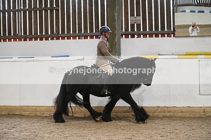 WJ7_4494 - Afternoon Champs