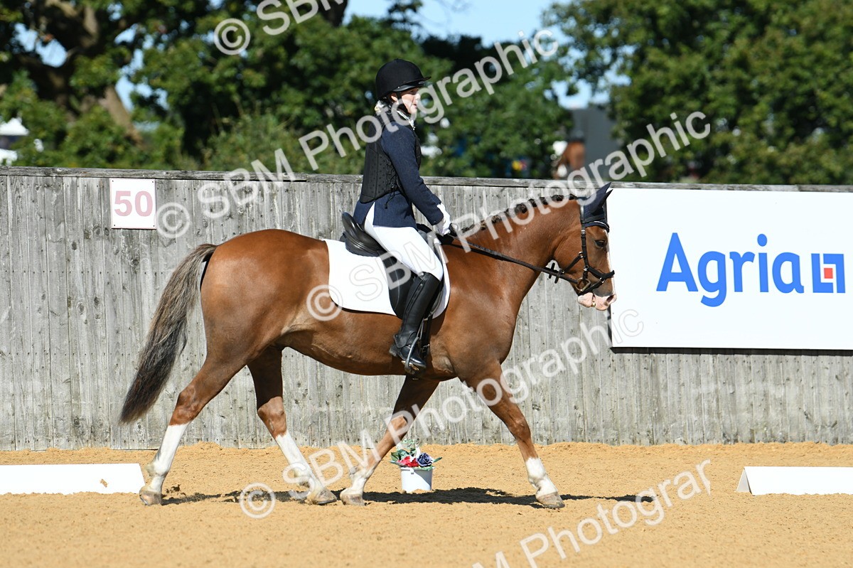 SBM_18124 - D4 - Small Tour Championship - Intro B
