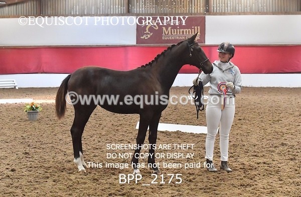 BPP_2175 - AFTERNOON 12.30 - 3.30PM