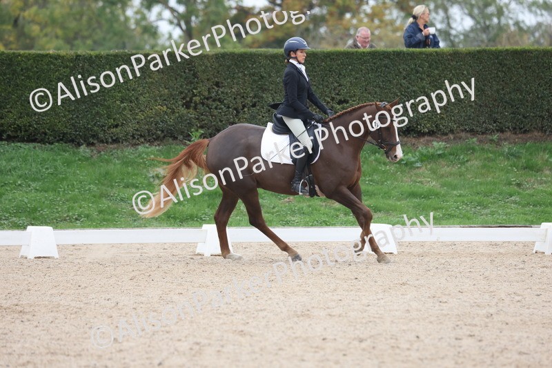 20251011-0378 - Class 4 - Novice 2