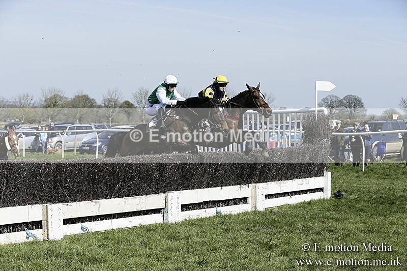 PtP 260317 79 - Mendip Farmers Point-to-Point Ston Easton 26/03/17