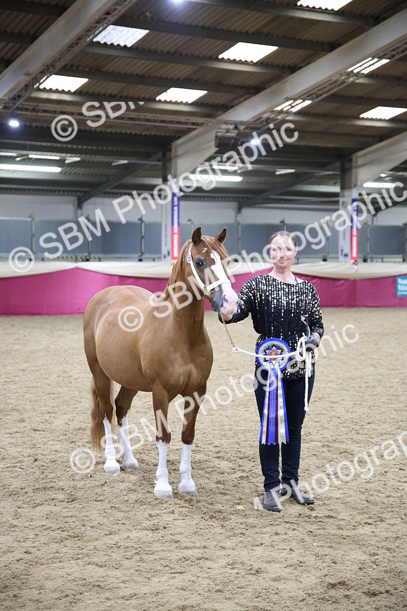 SBM_18775 - Class D IH Pony Champ