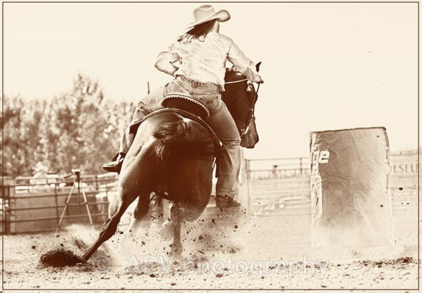 Old Fashioned. - Sporting