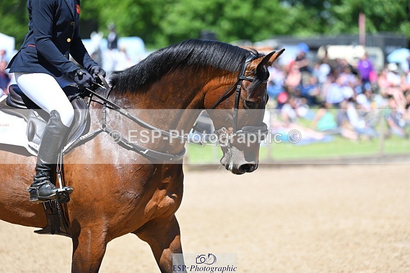 240525-123012-14922 - 512-RINGWOOD_MADRAS-Izzy_Taylor