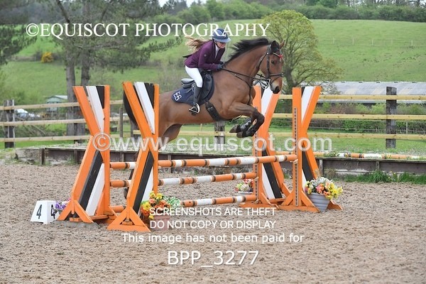 BPP_3277 - CLASS 14 SUN Senior BritiNovice/ 90cm Open