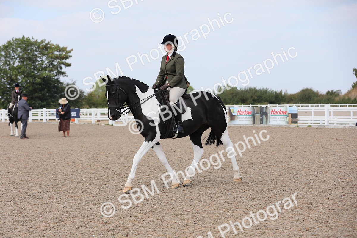 SBM_13470 - Class 308 Ridden Coloured Horse