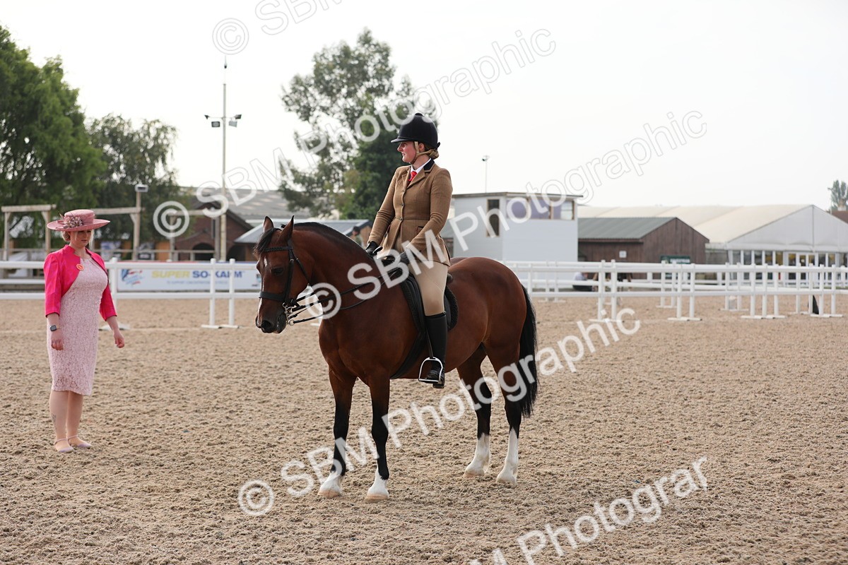 SBM_10076 - Class 302 Ridden M&M -Large Breeds