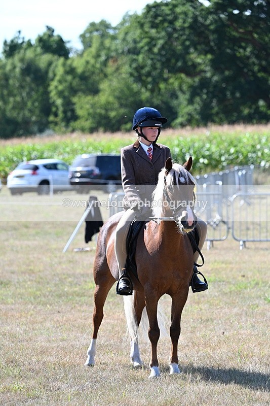 WJ7_3584 - Class 9 Mountain & Moorland Ridden