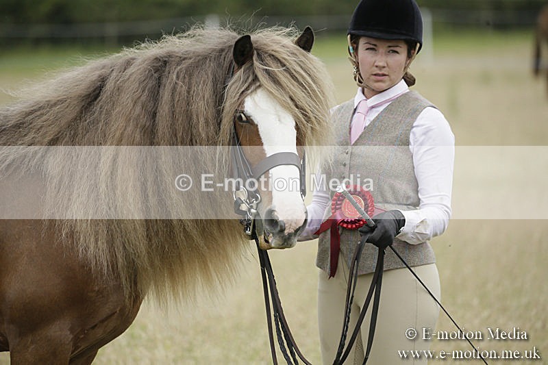 B230619-0850 - Bourne Valley Riding Club Summer Show 23/06/19