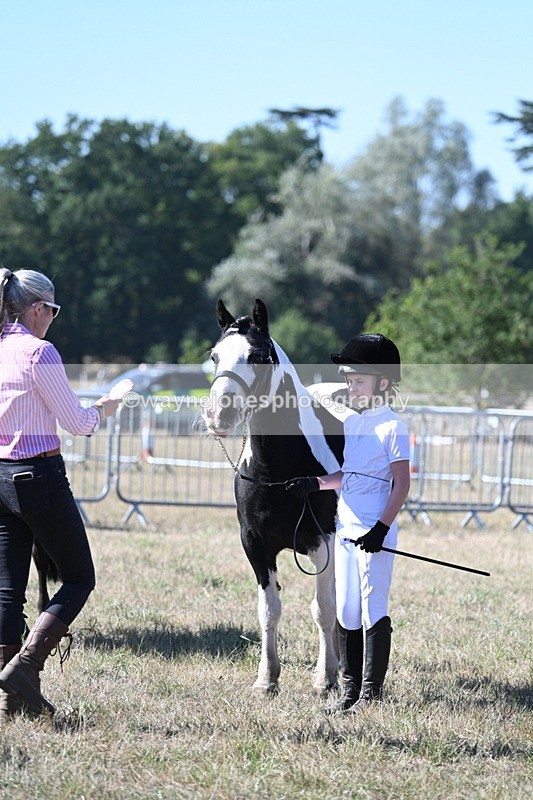 WJ7_1938 - Class 43 Best Six Legs (In hand)