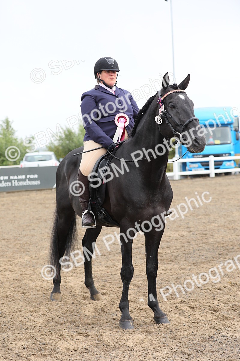SBM_21410 - Class 805 - Ridden Veteran Horse