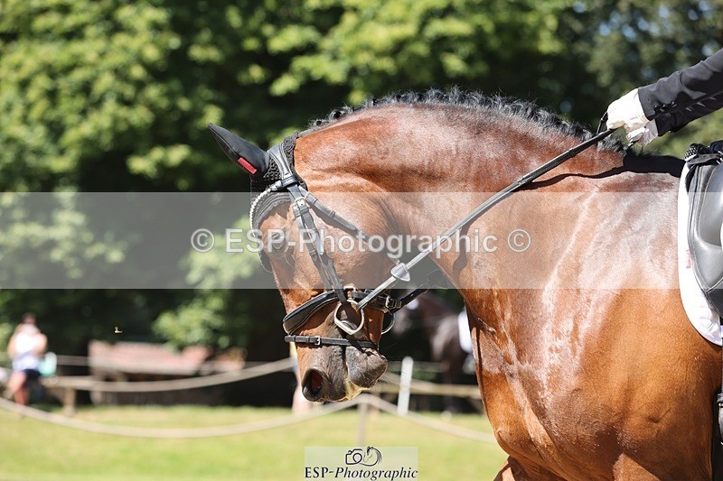 240719-115641-01537 - 154-Lucinda_Paull-Imperatrix