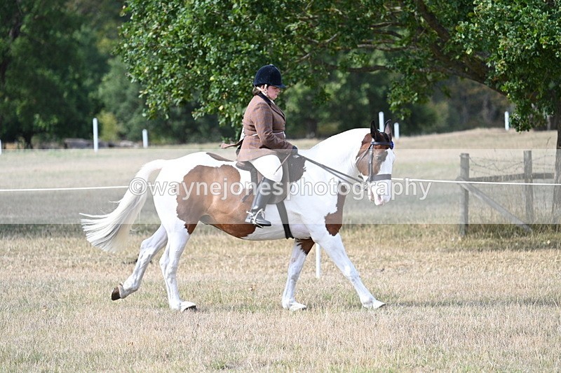 WJ7_7682 - Ridden Championship