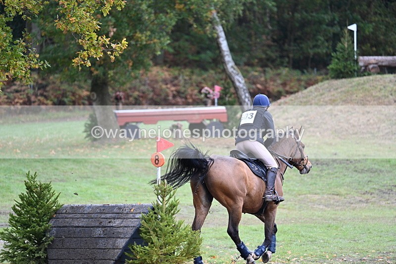 WJ7_5375 - Time 13:00 to 13:18