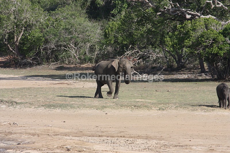  - Travel and culture