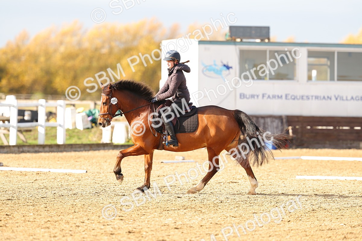 SBM_001217 - Class 13-4-9 - DR P3 CT P3 70cm CT PYO