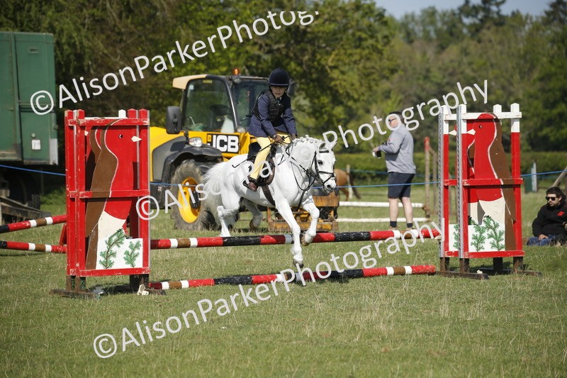 20250427-0405 - Class 12 - Rookie Jumping 40cm