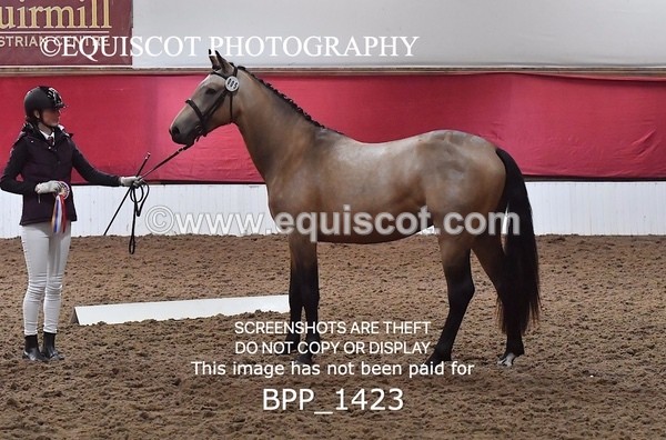 BPP_1423 - MORNING 9AM - 12PM