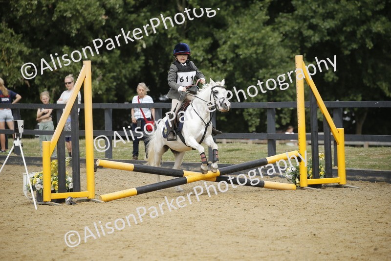 20250622-3709 - 50cm