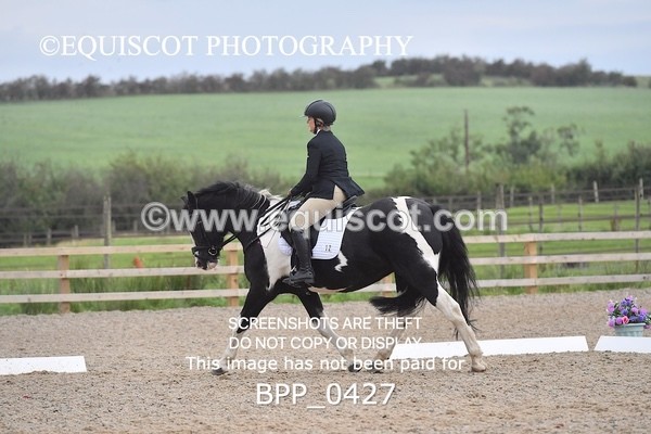 BPP_0427 - MFS PRELIM & NOV