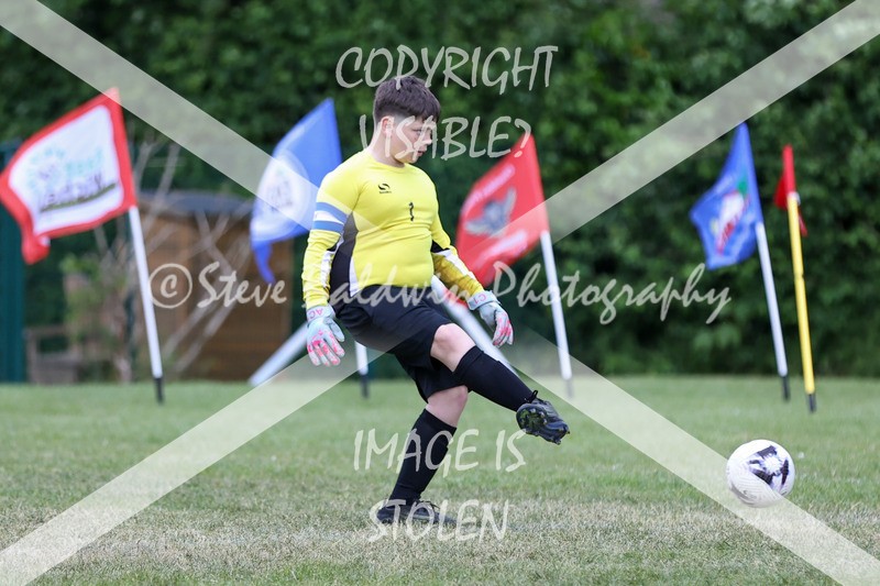 1DX31275 - Brook Field V Goddard Park
